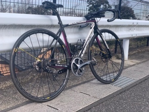 スクルトゥーラ team e disk