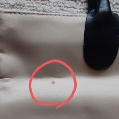 訳ありバッグ👜の画像