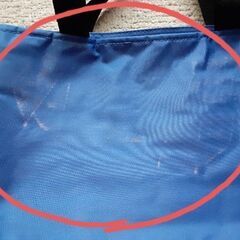 訳あり保冷バッグの画像