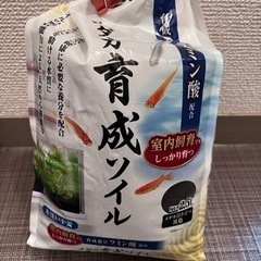 メダカ育成キットの画像