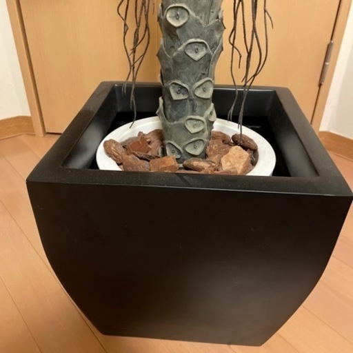 人工観葉植物　クワズイモ　