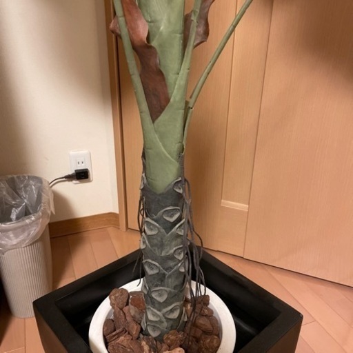人工観葉植物　クワズイモ　