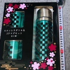 ステンレスボトル＆2pマグセット