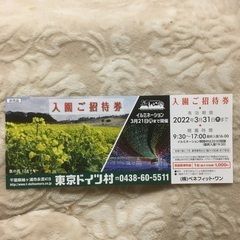 ☆★「東京ドイツ村」入園ご招待券･園内パンフレット･イルミネーションチラシです★☆ その③の画像