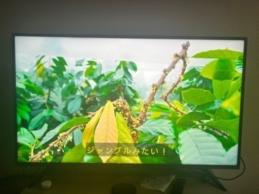 ハイセンス 43V型 液晶 テレビ HJ43N3000 4K 外付けHDD 2017年モデル