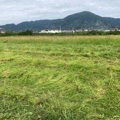 便利屋喜楽！困り事など何でもご相談下さい！ - 有田郡