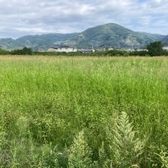 便利屋喜楽！困り事など何でもご相談下さい！の画像