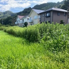 便利屋喜楽！困り事など何でもご相談下さい！ - 便利屋