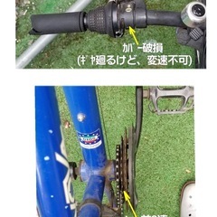 GIOS マウンテンバイク24インチの画像