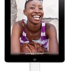 Apple純正 iPad対応 SDカードリーダー A1362の画像