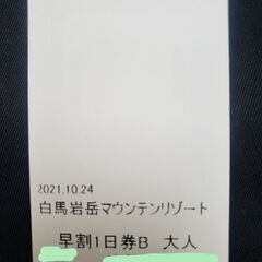 岩岳マウンテンリゾートリフト券の画像