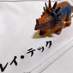 今最も人気な職業?!解体屋さん
