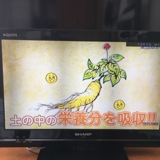 テレビ　液晶　19型