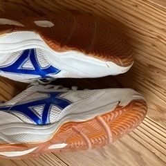 早いもの勝ち！中学体育館シューズ25.0cmの画像