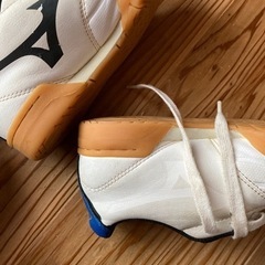 室内ばきの画像