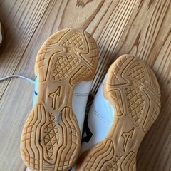 室内ばきの画像