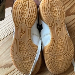 室内ばき21cmの画像