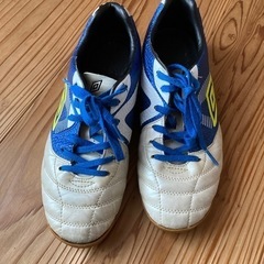 室内ばきアンブロ