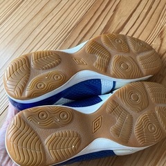 室内ばきアンブロの画像