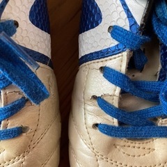 室内ばきアンブロの画像