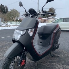 実働 HONDAダンク50