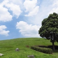 東区青葉公園で朝活運動しませんか😊
