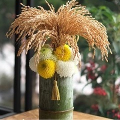 稲穂pjの画像