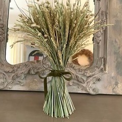 稲穂pjの画像
