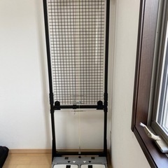 姿勢分析器　体重計式　アクリルボード付き　江崎器械　整体　エクササイズ