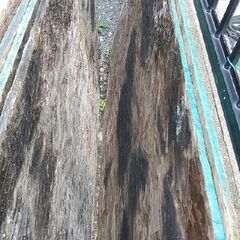 無料です さしあげます OSB合板　コンパネ　ベニヤ厚板の画像