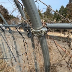 (現在交渉中)農業用ビニールハウス　補強有の画像