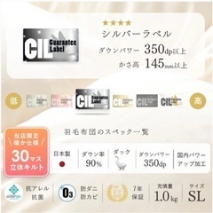 羽毛布団　ホワイトダックダウン90% 日本製の画像