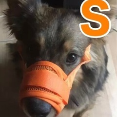 犬用 口輪 無駄吠えに オレンジＳ