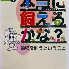 さいたま市猫の譲渡会 − 埼玉県