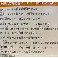 さいたま市猫の譲渡会 - イベント