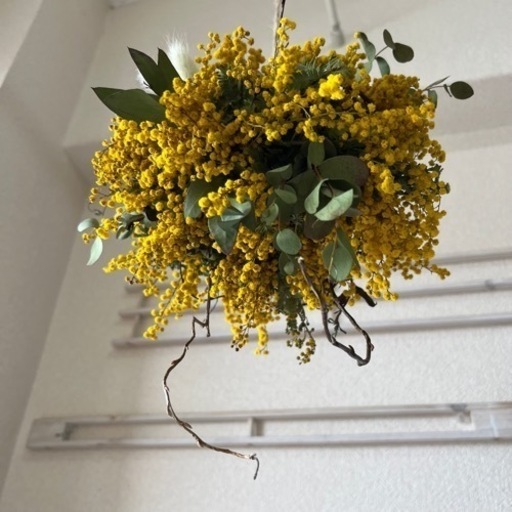 現品あり出来立てフライングリース