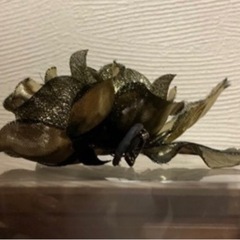 高島屋 ゴージャスなコサージュ 6500円「ゴールドローズ」スーツにも！ ※本日大幅値引きしましたの画像