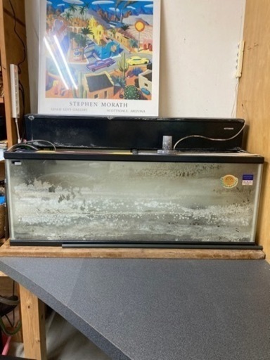 水槽1つ残り。早い者勝ち！。