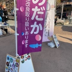 3/26 鶴巻温泉土曜朝市　メダカ出店情報