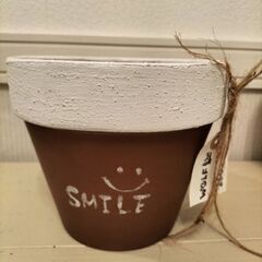 多肉鉢茶色