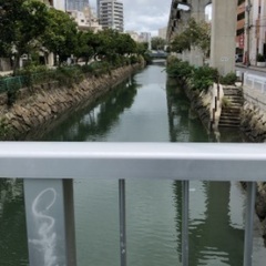 ボランティア家庭教師　