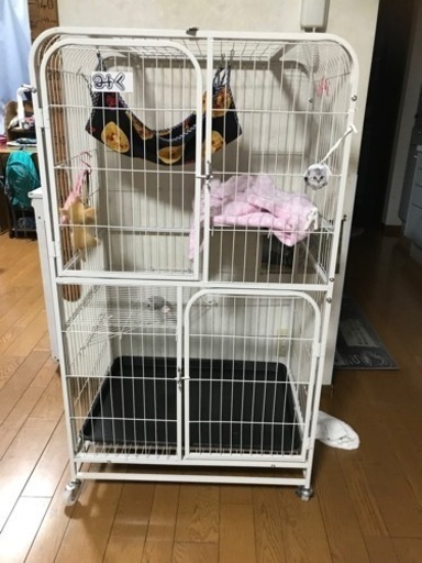 猫　ゲージ
