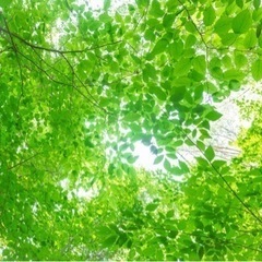 オフ会メインで活動する40代からのグループです😄