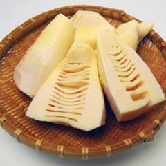 タケノコ　筍　いりませんか？の画像