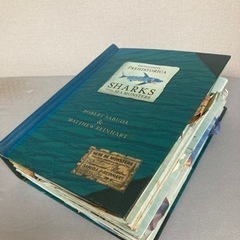 シャーク海の怪獣たち