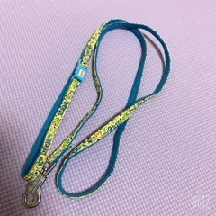 ペティオ　子犬用お散歩リード☀️