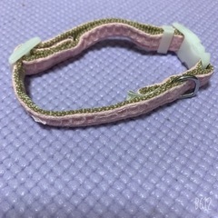 子犬用🐶首輪　ピンク🎀の画像