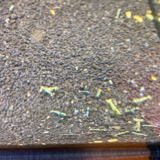 ギャラクシー黒