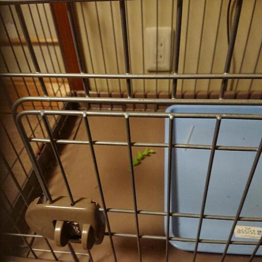 犬猫小動物用ゲージ大幅値下げ