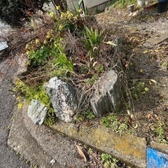 庭石